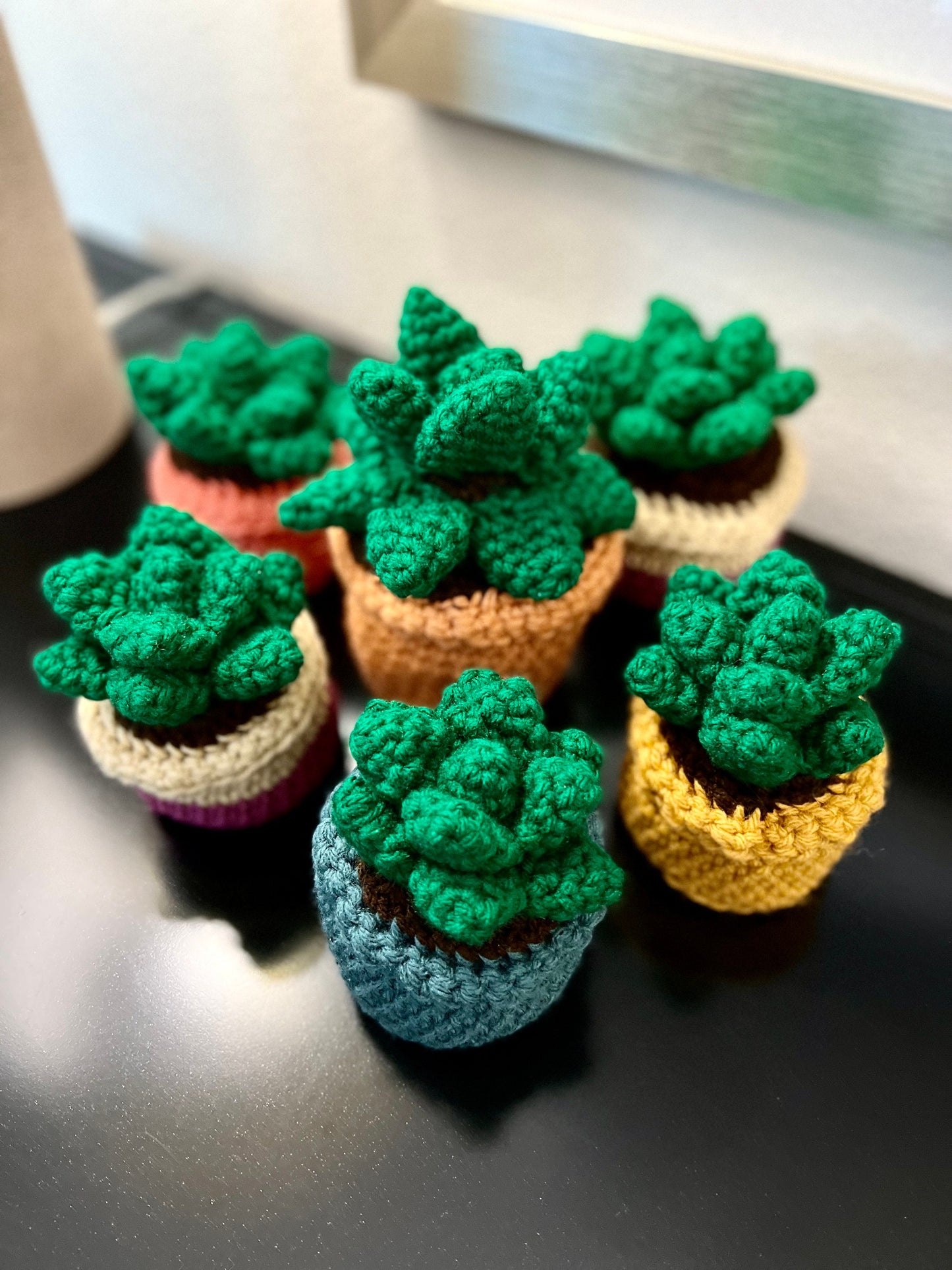 Crochet Succulent Plant
