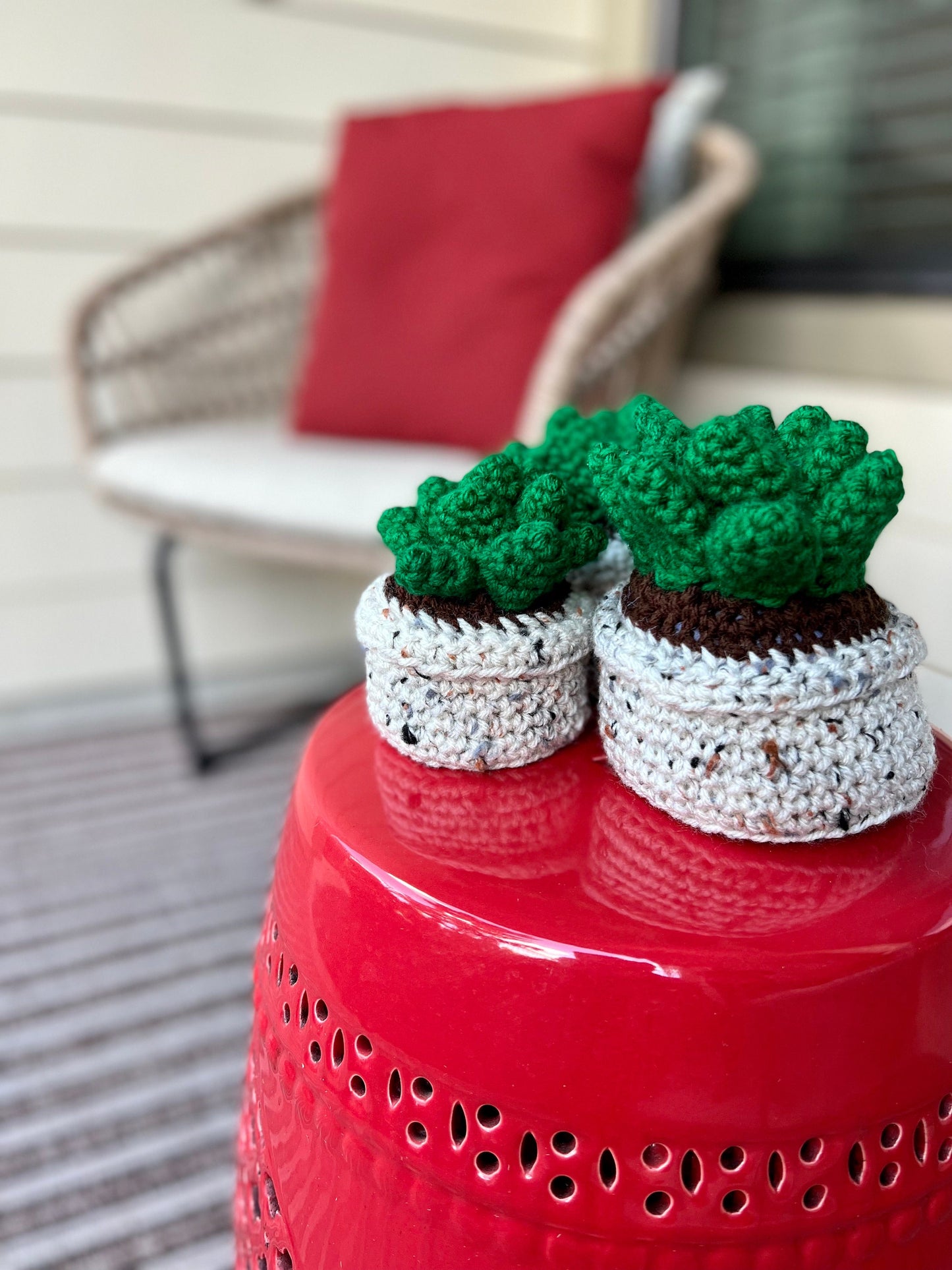 Crochet Succulent Plant