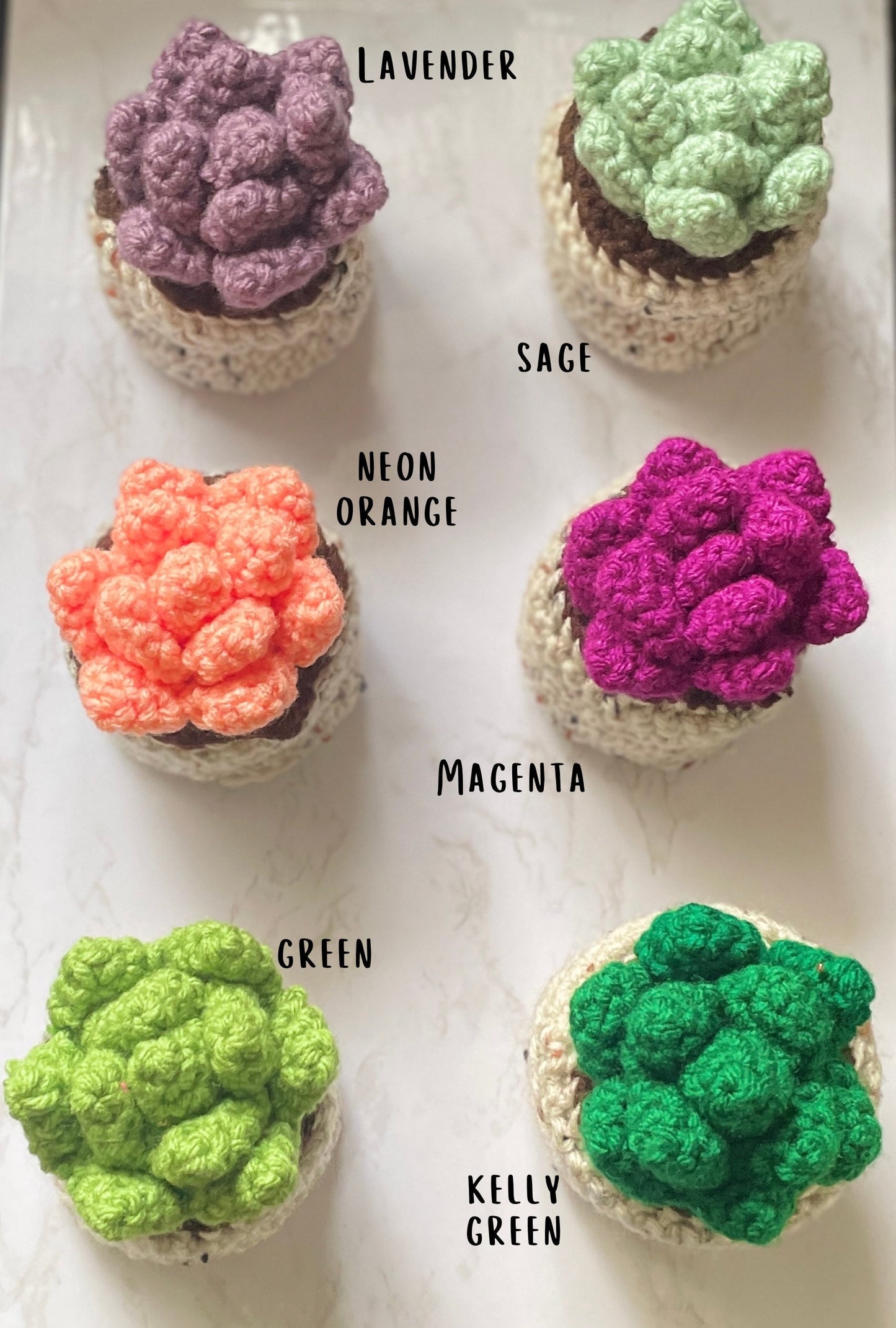 Crochet Succulent Plant