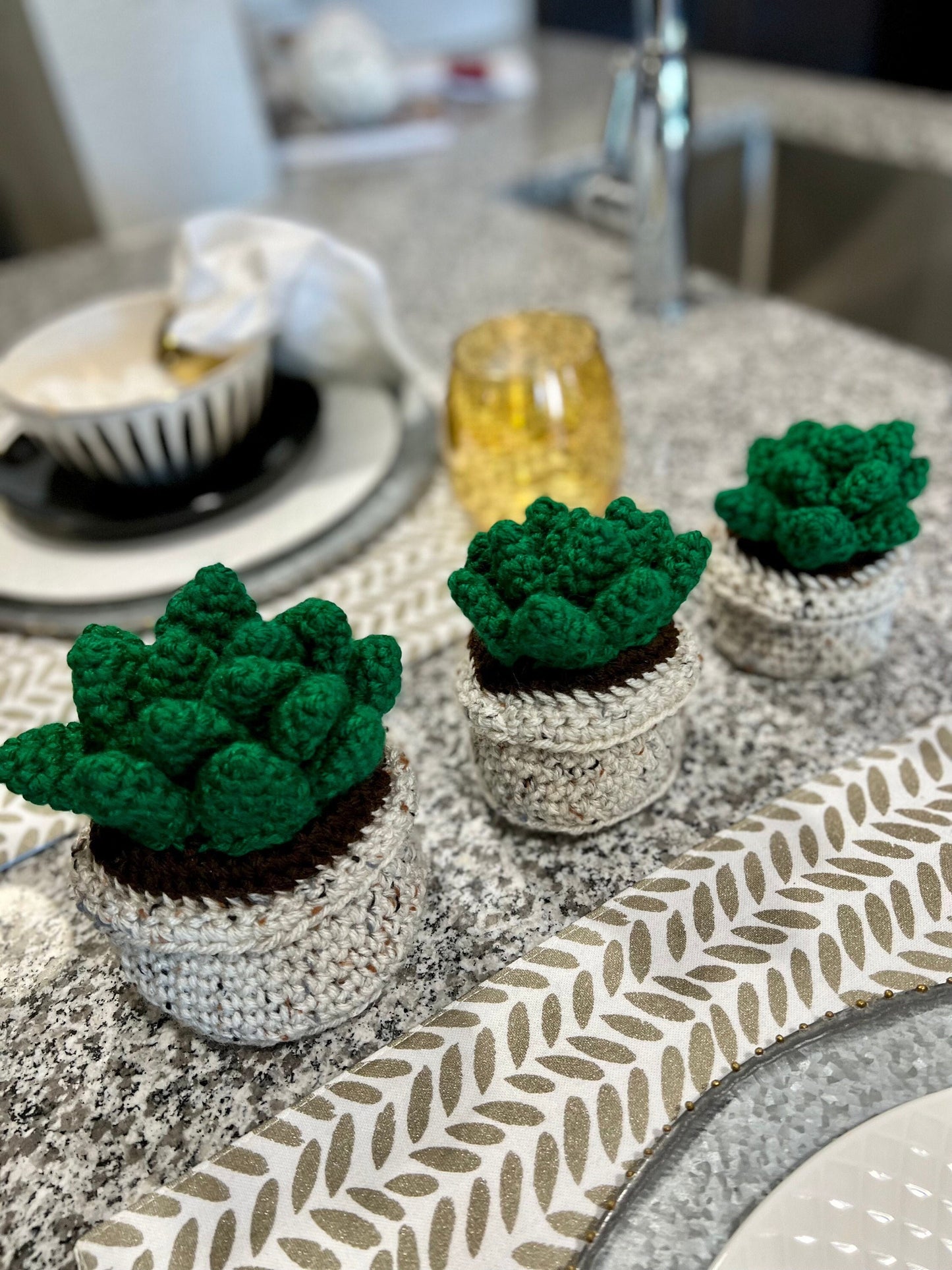 Crochet Succulent Plant