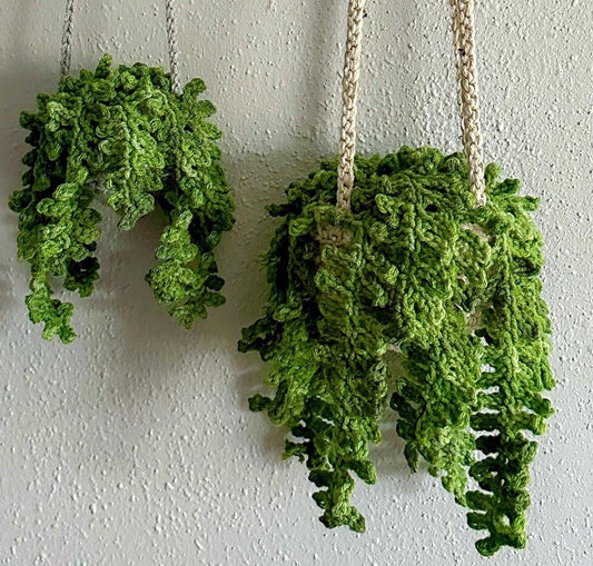 Crochet Fern Plant, Hanging Plant, Home Decor Gift