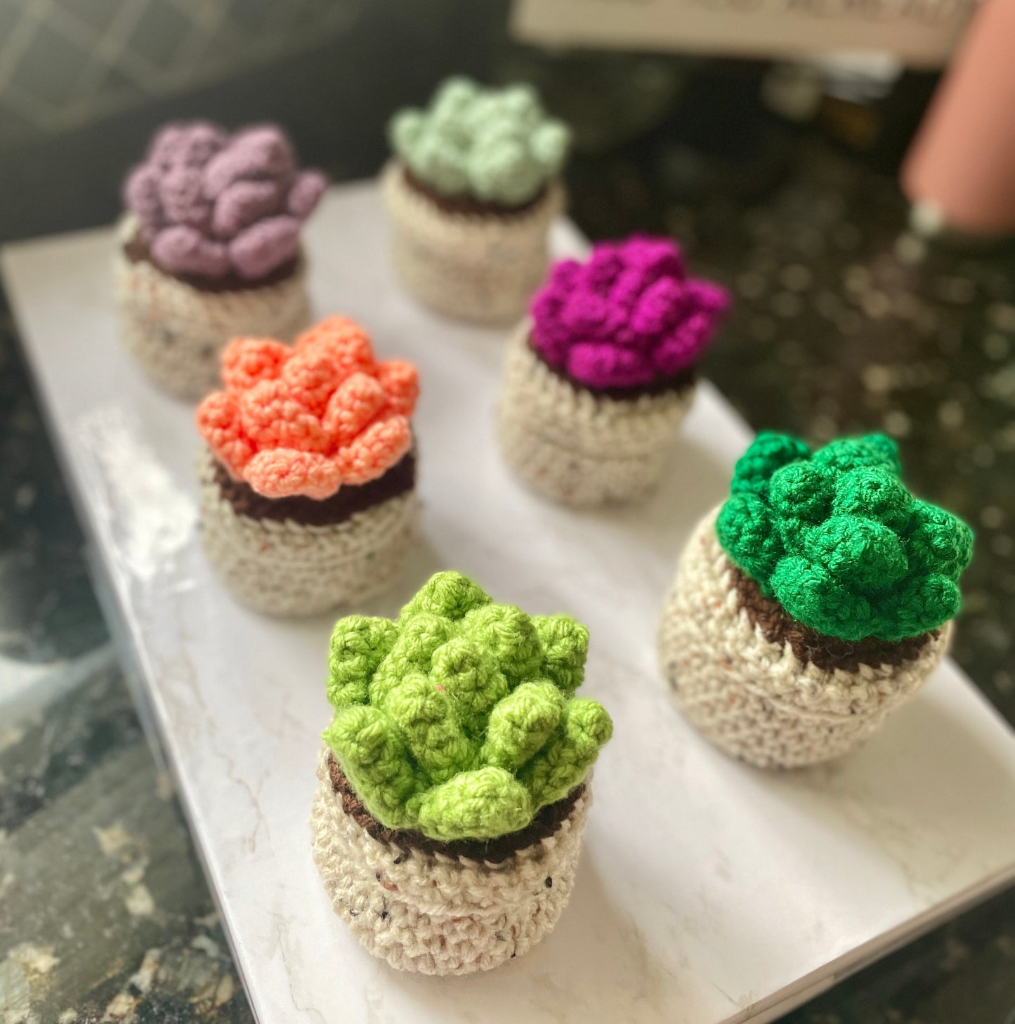 Crochet Succulent Plant