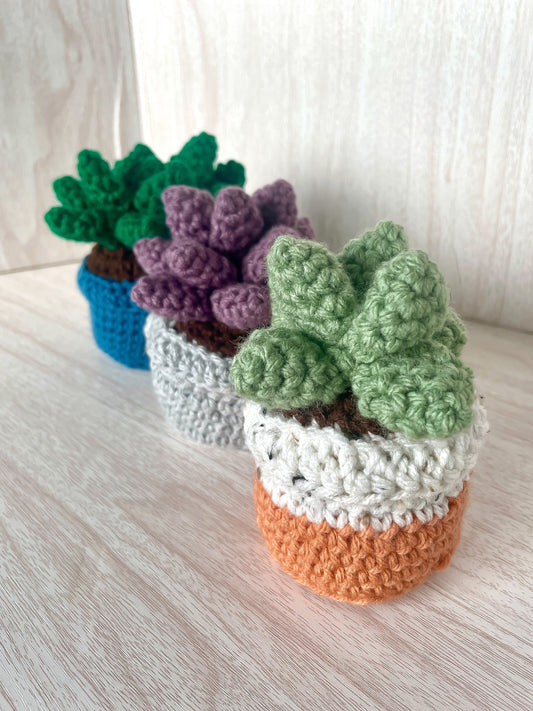 Crochet Succulent Plant